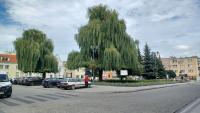 komentarz obrazkowy