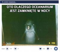 komentarz obrazkowy