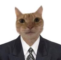 komentarz obrazkowy