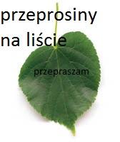 komentarz obrazkowy