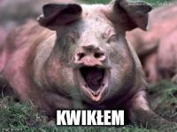 komentarz obrazkowy