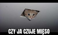 komentarz obrazkowy