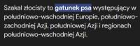 komentarz obrazkowy