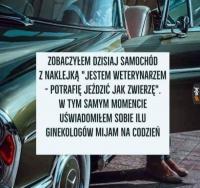 komentarz obrazkowy