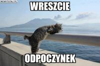 komentarz obrazkowy