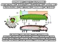 komentarz obrazkowy