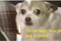 komentarz obrazkowy
