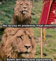 komentarz obrazkowy