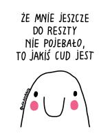 komentarz obrazkowy
