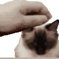 komentarz obrazkowy