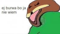 komentarz obrazkowy