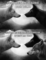 komentarz obrazkowy