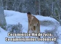 komentarz obrazkowy