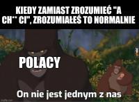 komentarz obrazkowy