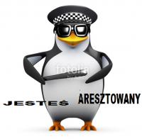 komentarz obrazkowy