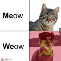 komentarz obrazkowy