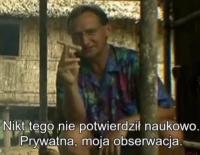 komentarz obrazkowy