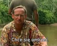 komentarz obrazkowy
