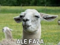 komentarz obrazkowy