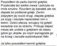 komentarz obrazkowy