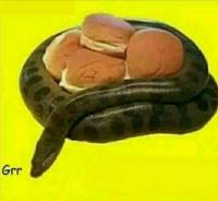 komentarz obrazkowy