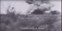 komentarz obrazkowy