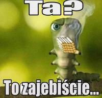 komentarz obrazkowy