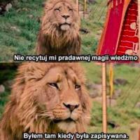 komentarz obrazkowy