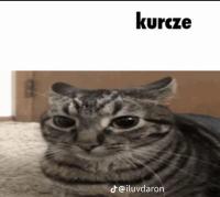 komentarz obrazkowy