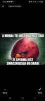 komentarz obrazkowy