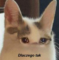 komentarz obrazkowy
