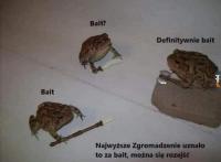 komentarz obrazkowy