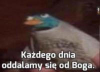 komentarz obrazkowy