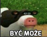 komentarz obrazkowy