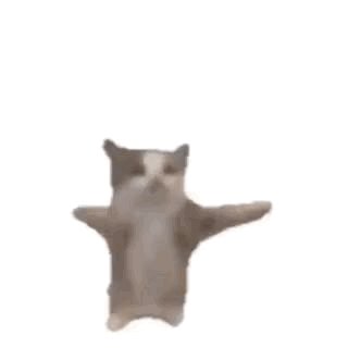 komentarz obrazkowy