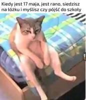 komentarz obrazkowy