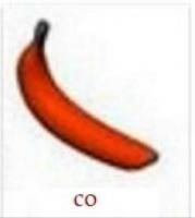 komentarz obrazkowy