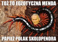 komentarz obrazkowy