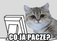 komentarz obrazkowy