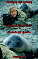 komentarz obrazkowy