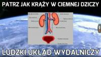 komentarz obrazkowy