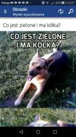 komentarz obrazkowy