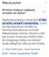 komentarz obrazkowy