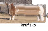 komentarz obrazkowy