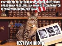 komentarz obrazkowy