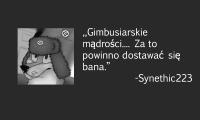 komentarz obrazkowy