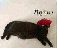 komentarz obrazkowy