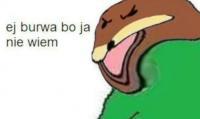 komentarz obrazkowy