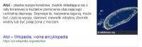 komentarz obrazkowy