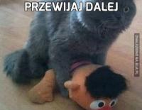 komentarz obrazkowy